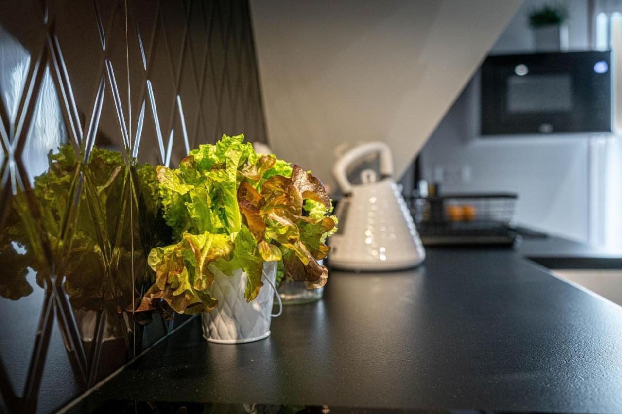 Stylovy Apartment Bialka Tatrzanska Bagian luar foto